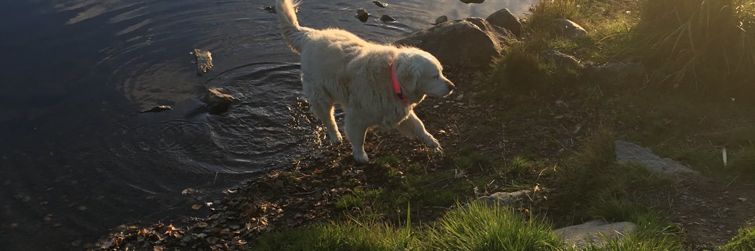 Linn Andersson banner