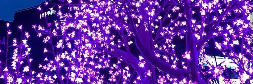 desyaflower's profile banner image
