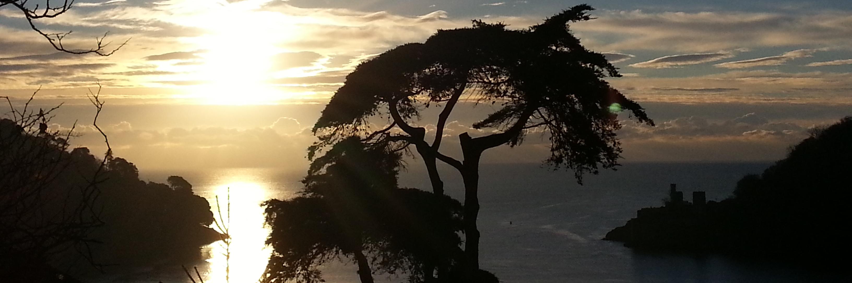 NonsuchHouse's profile banner image