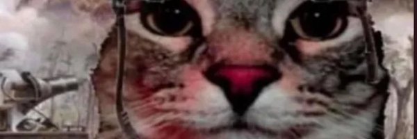 _NeonZM_ Profile Banner