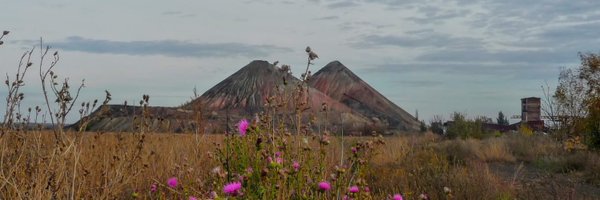 tsivilna Profile Banner