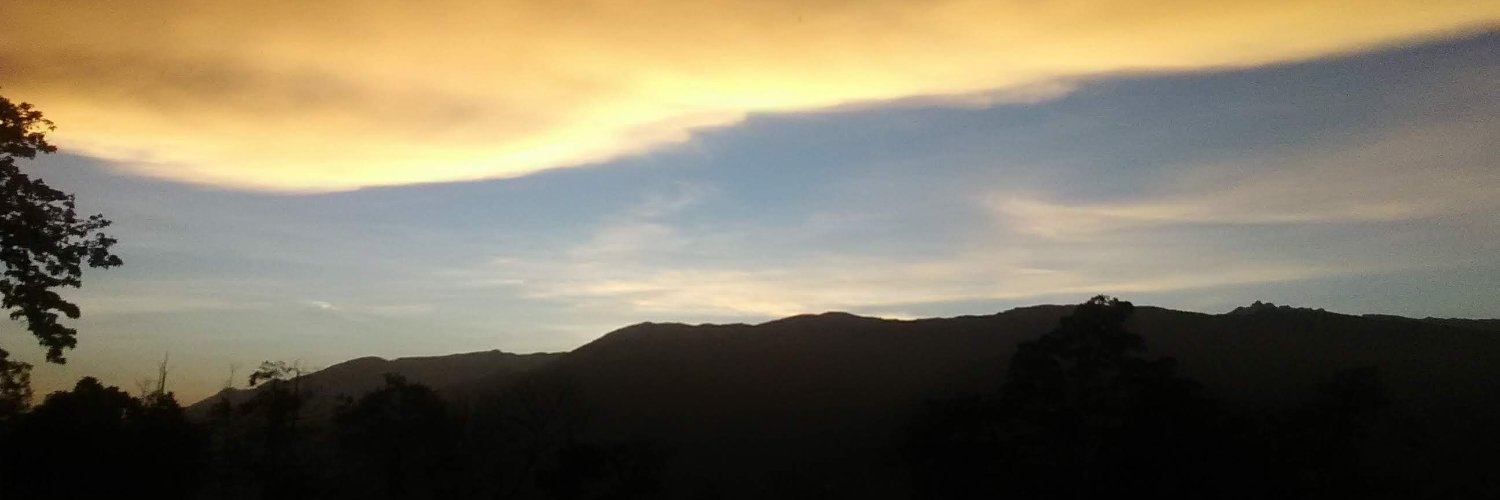 Guaromerida's profile banner image