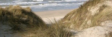 justme_open banner