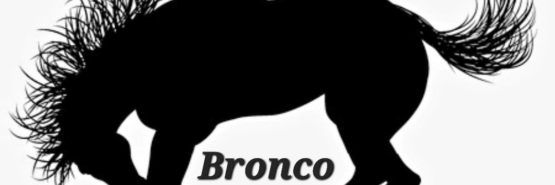 Bronco_Booty's profile banner image