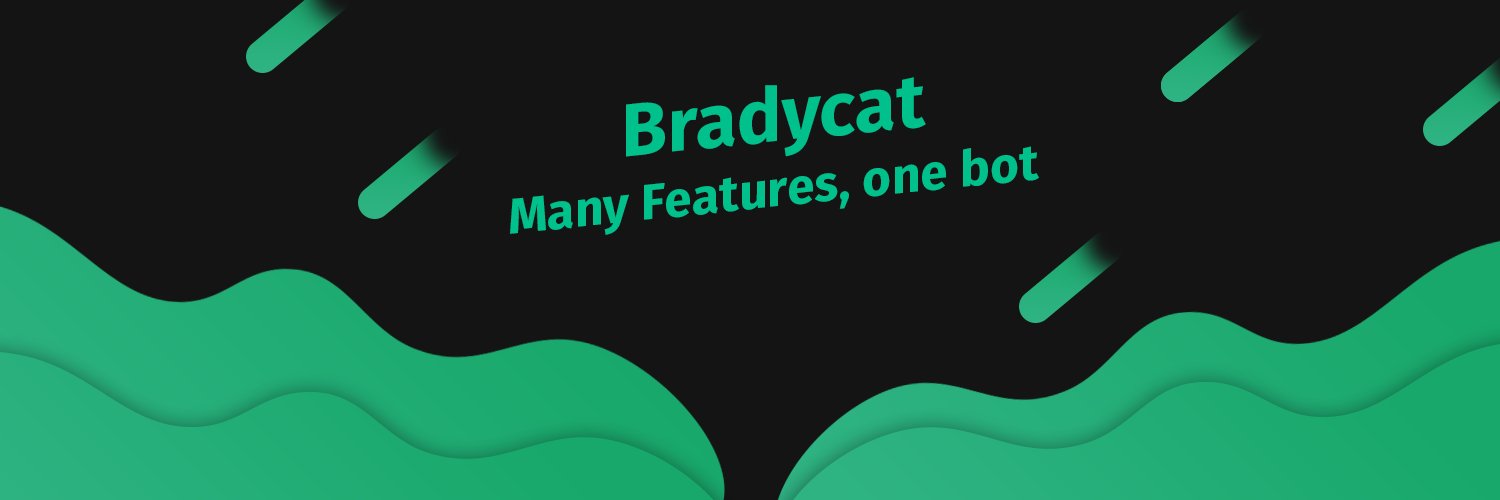 Bradycat 🇺🇸 banner