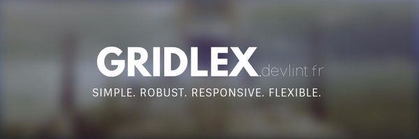webdevlint Profile Banner