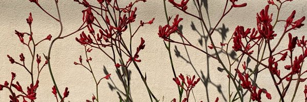 LBaldassar Profile Banner