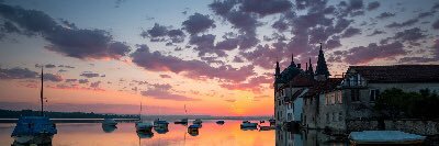 Haley Spender banner