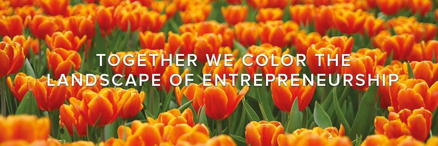 dutchnetworkgrp's profile banner image