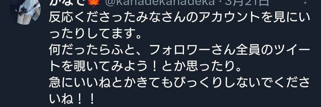 kanadekanadeka's profile banner image