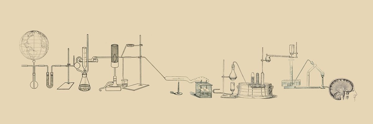 fopolab's profile banner image