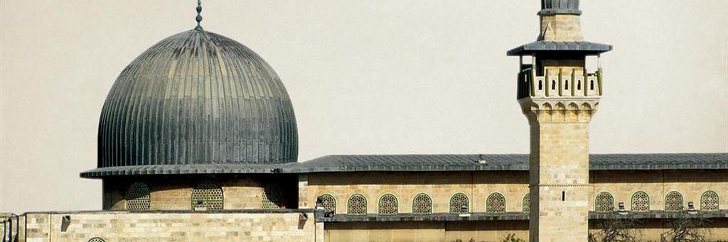 erman_akcay's profile banner image