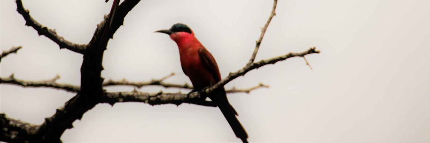 JanLuitenV's profile banner image
