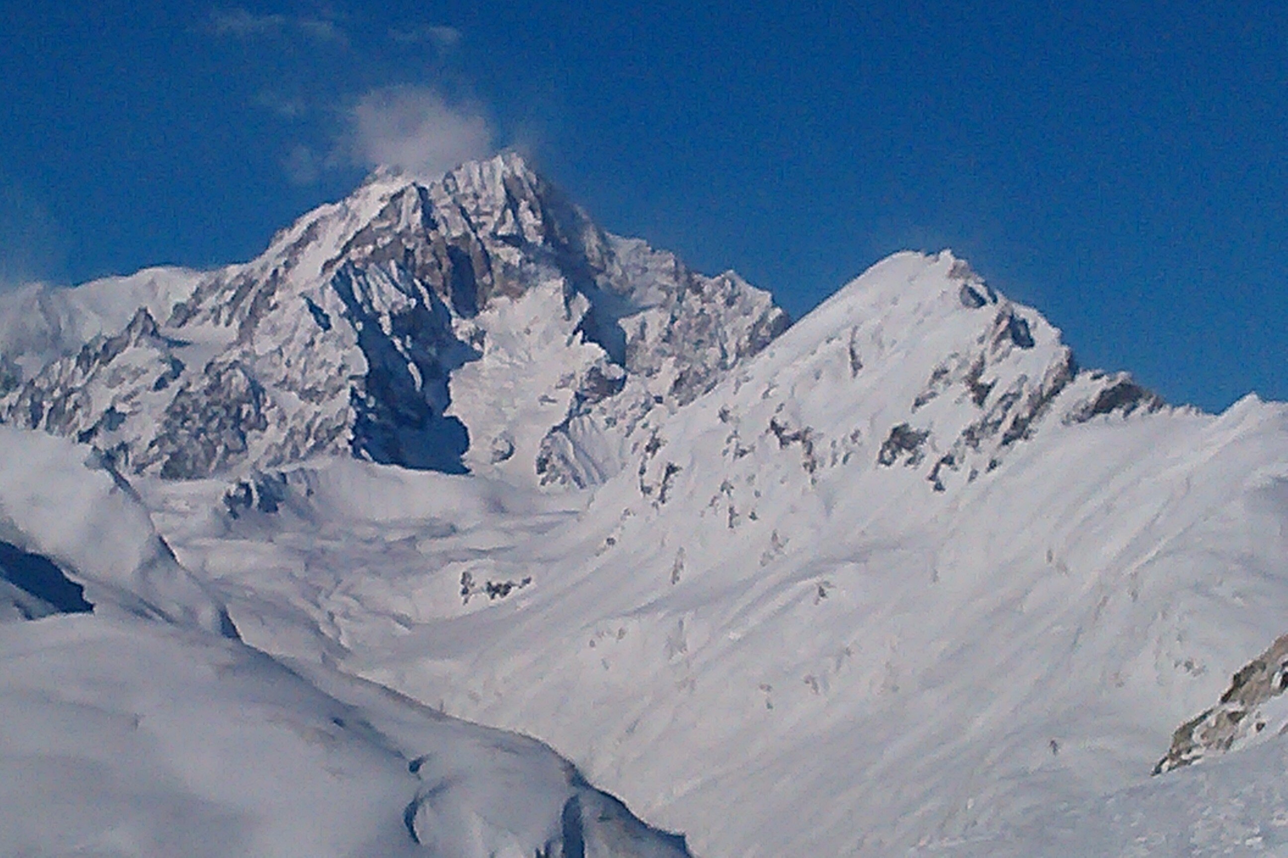 Martyn Willows banner