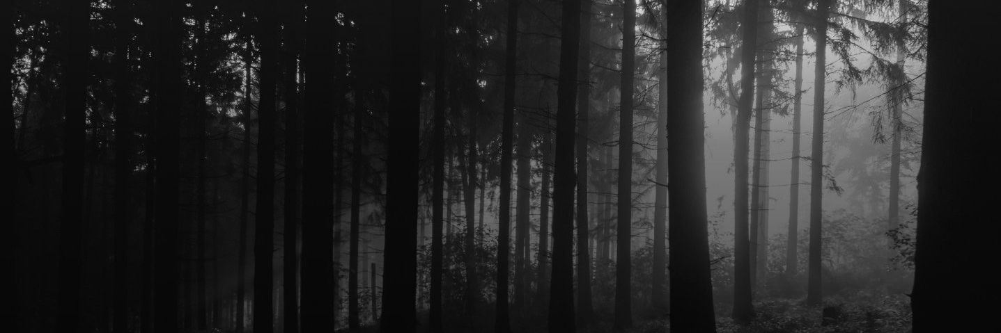 braverthan's profile banner image