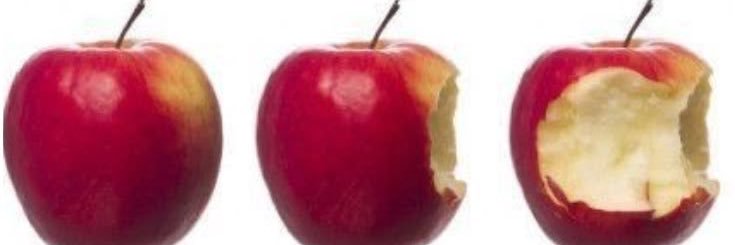 erin =w= banner