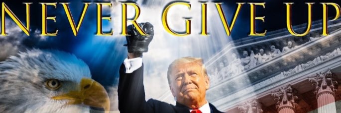 Ultra MAGA Teo D Land's banner