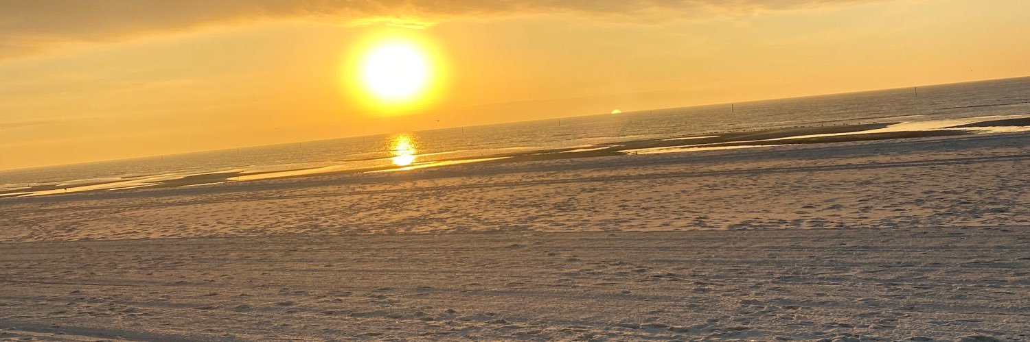 Pelican71's profile banner image