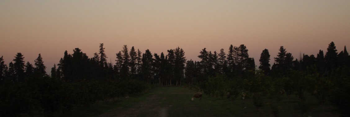 kaawkawa's profile banner image