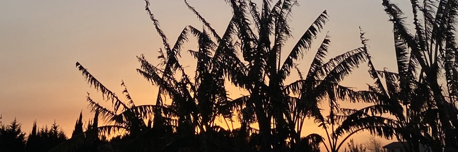 COrlamunde's profile banner image