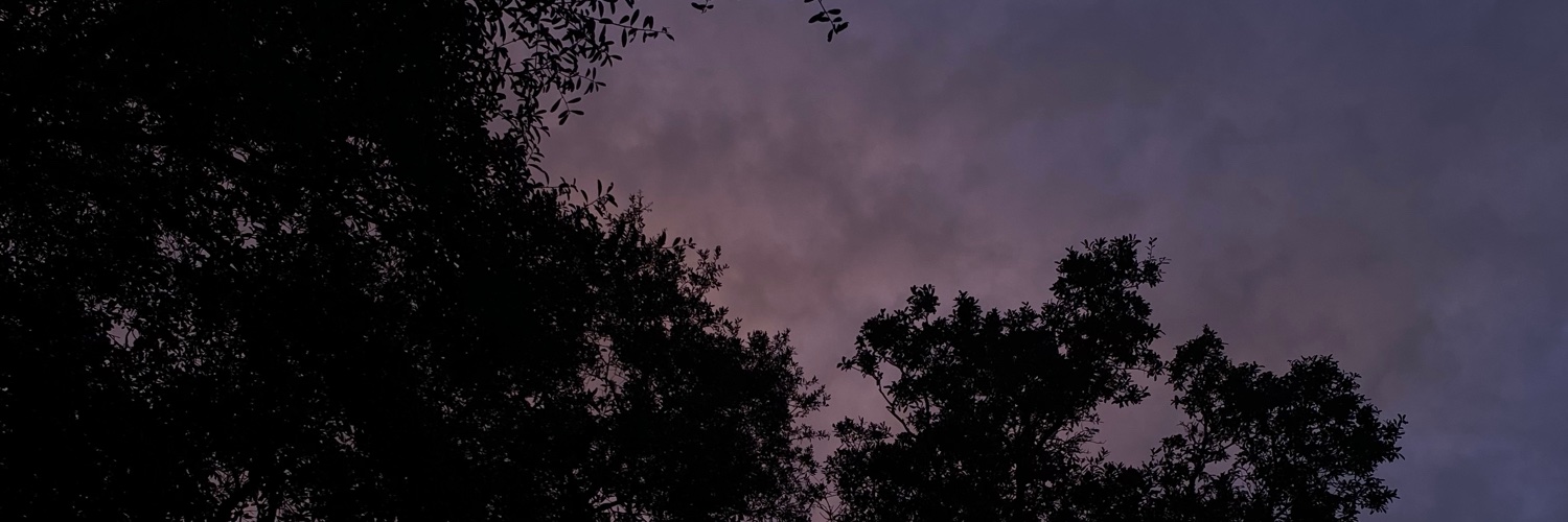 Kay Whittington banner