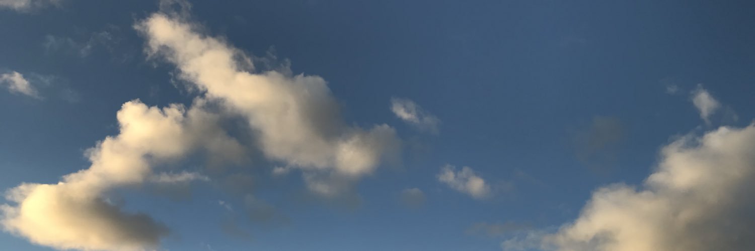 clairebearyon's profile banner image