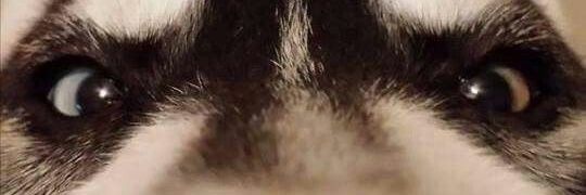 Eward095's profile banner image