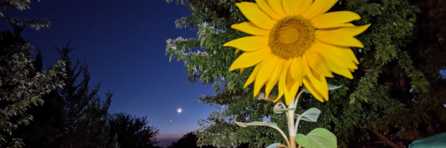 mals2003's profile banner image