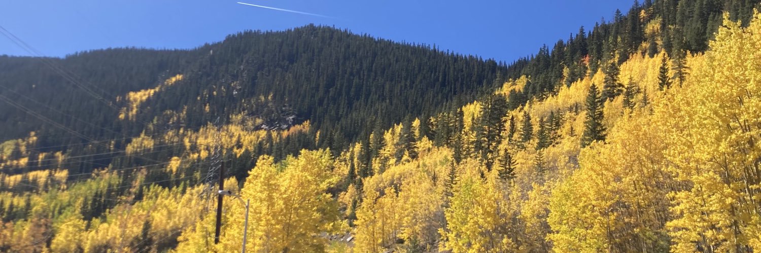 JenJen ❤️s Phish ⭕️ banner