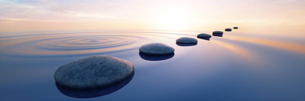 Wellness In The City banner