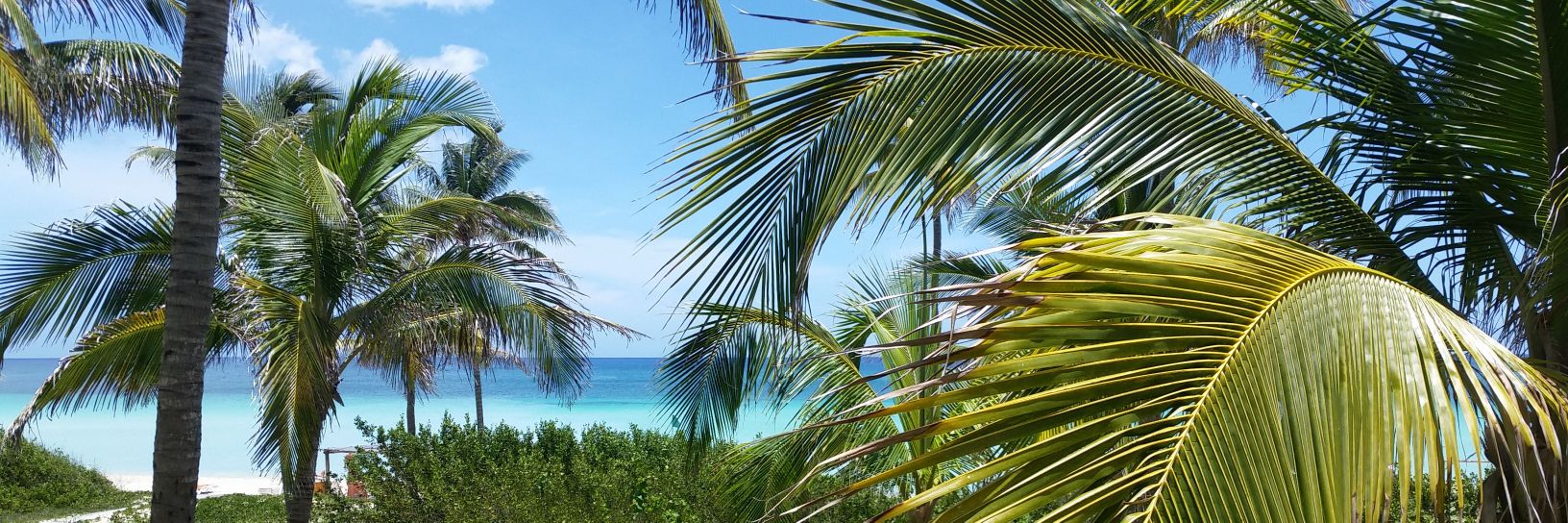 nbootrmt's profile banner image