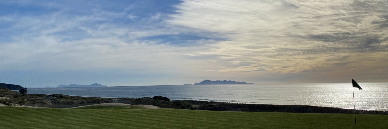 Anita Mitchell banner