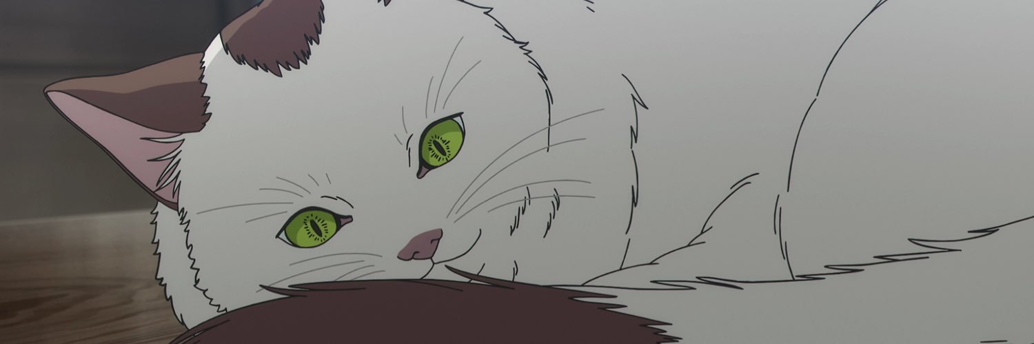 KC Robinet 🚰 banner