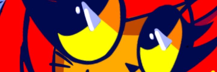 Tizi banner