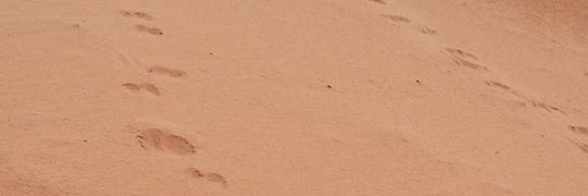 Astrid van den Aker banner