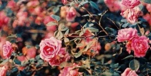 giulia_digiusto's profile banner image