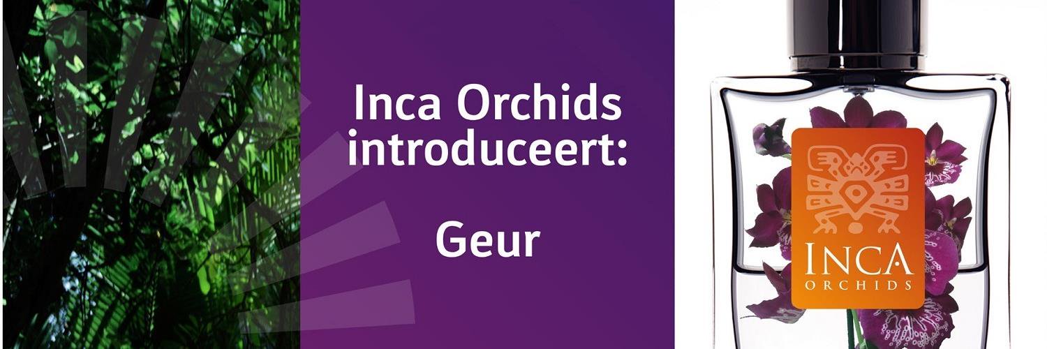 IncaOrchids's profile banner image