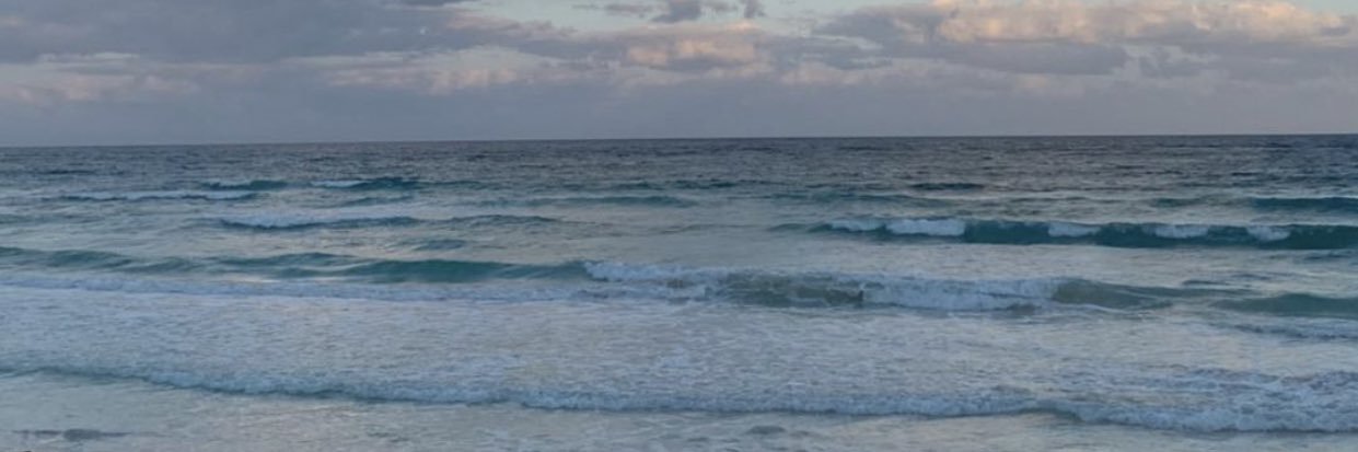 emlineml's profile banner image