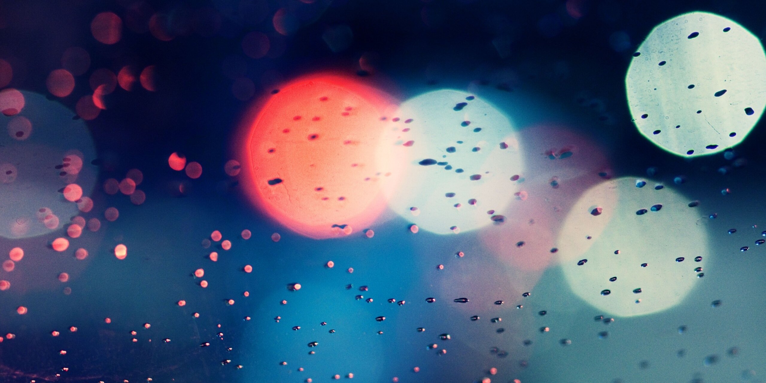 Luke Anderson banner