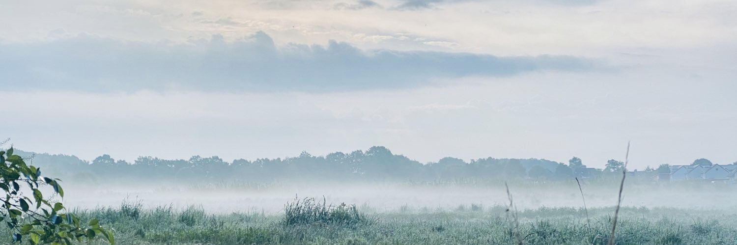 pech's profile banner image