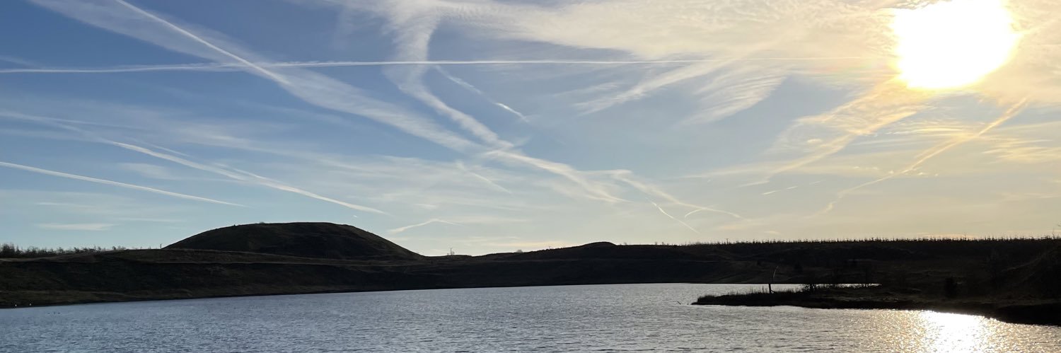 Terri Collins banner