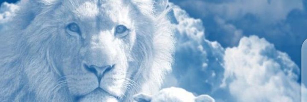 Eke101's profile banner image
