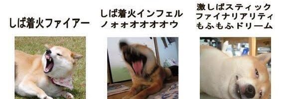 misuta_T's profile banner image