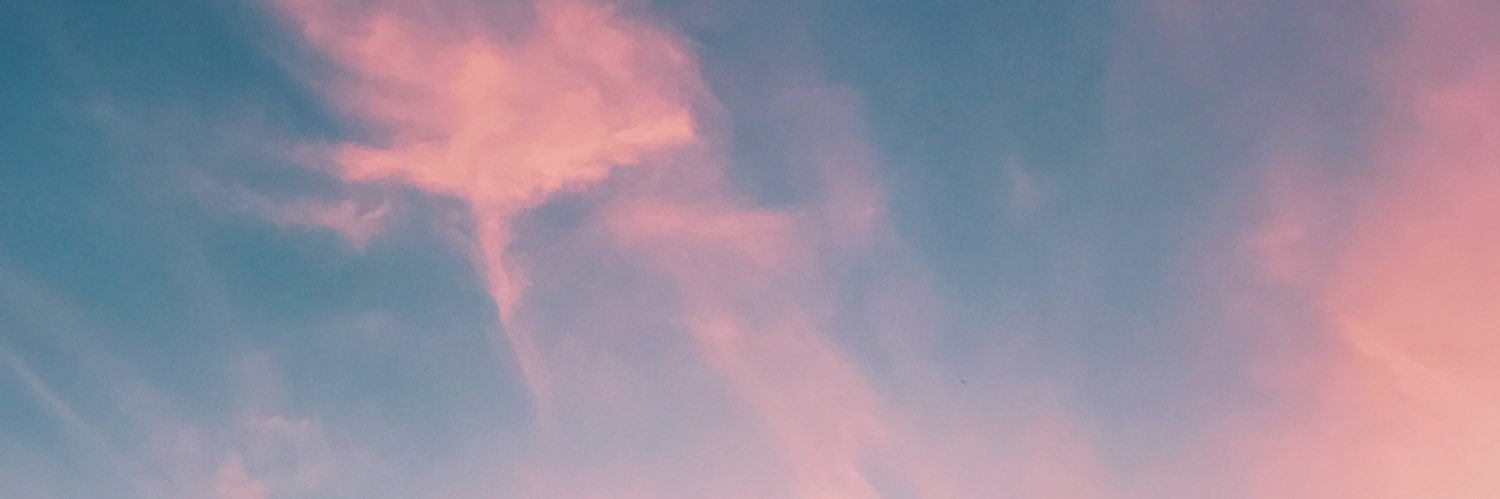 liihlopes's profile banner image