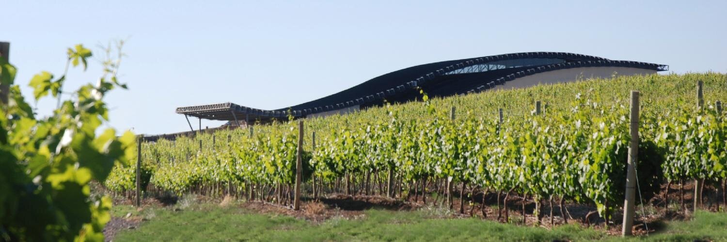 BodegaPatritti's profile banner image
