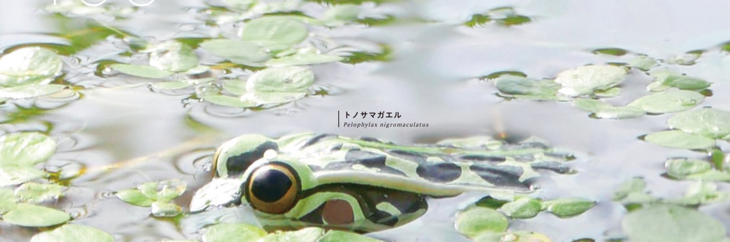 ネイチャーテクニカラー いきもん公式's banner