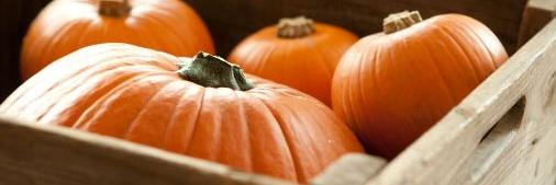 WFMSilverSpring's profile banner image