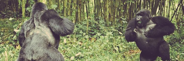 H_Blythe's profile banner image