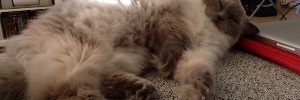 Fred_Oslo Profile Banner