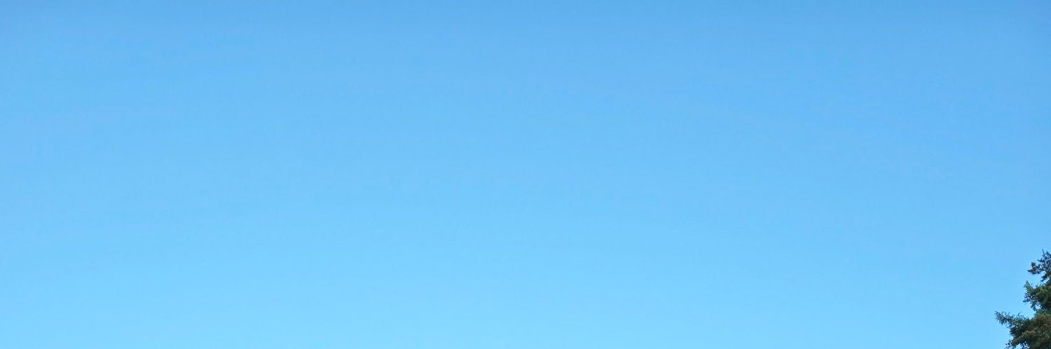 yeinurarea's profile banner image